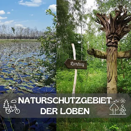 Grünewalder Lauch Сasa de vacaciones