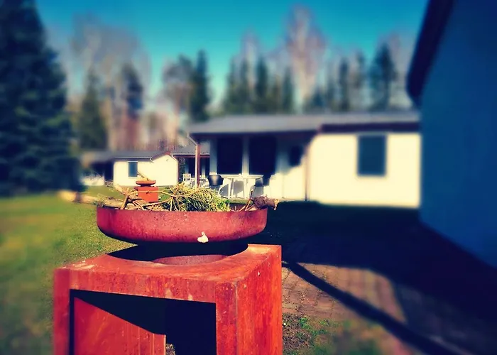 Gruenewalder Lauch Lauchhammer